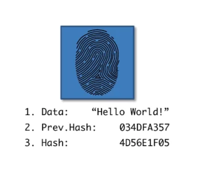 A block contains data, the previous block's hash, and the current block's hash.